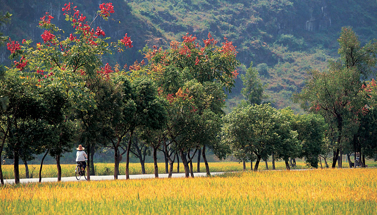 Bchi-china-biking-4